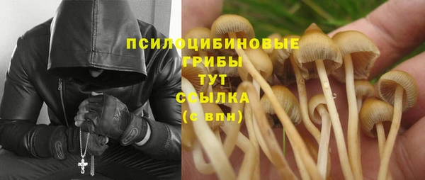 прущие крисы Вязьма