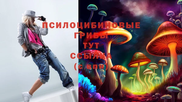 прущие крисы Вязьма